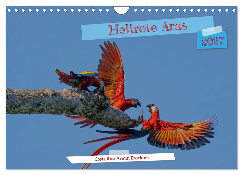 Hellrote Aras (Wandkalender 2027 DIN A4 quer) CALVENDO Monatskalender