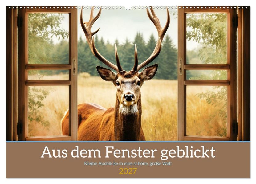 Aus dem Fenster geblickt (Wandkalender 2027 DIN A2 quer) CALVENDO Monatskalender