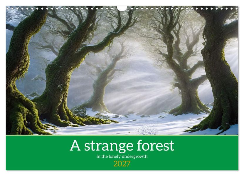 A strange forest In the lonely undergrowth (Wall Calendar 2027 DIN A3 landscape) CALVENDO 12 Month Wall Calendar