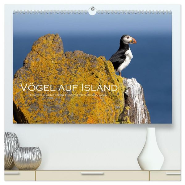 Vögel auf Island (hochwertiger Premium Wandkalender 2027 DIN A2 quer) Kunstdruck in Hochglanz