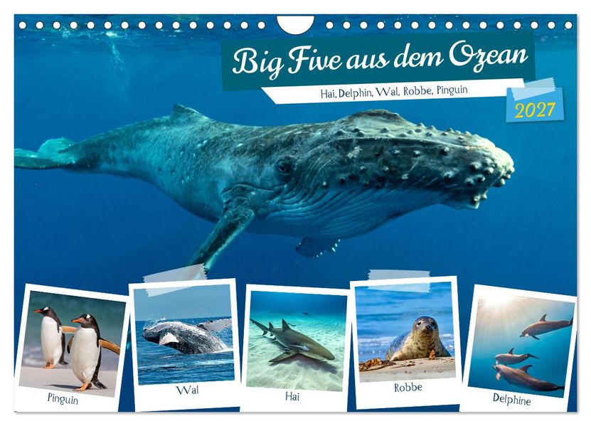 Big Five aus dem Ozean Hai Delphin Wal Robbe Pinguin (Wandkalender 2027 DIN A4 quer) CALVENDO Monatskalender