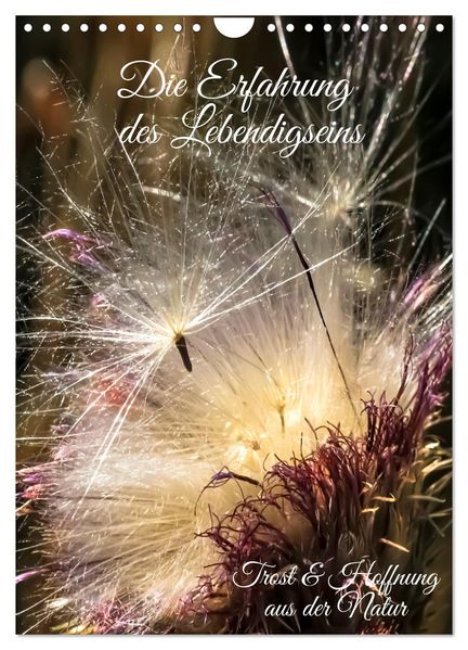 Die Erfahrung des Lebendigseins (Wandkalender 2027 DIN A4 hoch) CALVENDO Monatskalender
