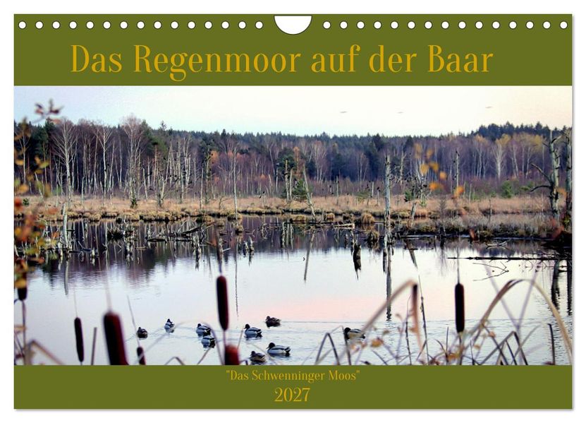 Das Regenmoor auf der Baar (Wandkalender 2027 DIN A4 quer) CALVENDO Monatskalender