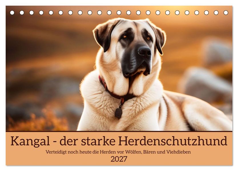 Kangal - der starke Herdenschutzhund (Tischkalender 2027 DIN A5 quer) CALVENDO Monatskalender