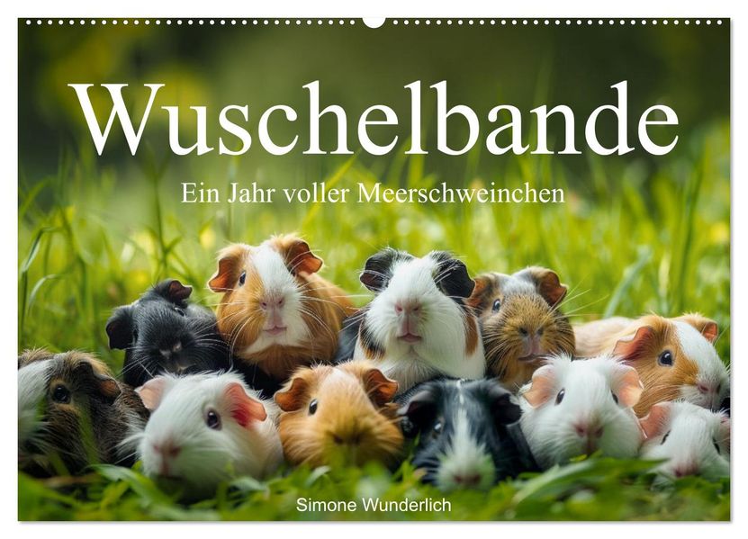 Wuschelbande - Ein Jahr voller Meerschweinchen (Wandkalender 2027 DIN A2 quer) CALVENDO Monatskalender