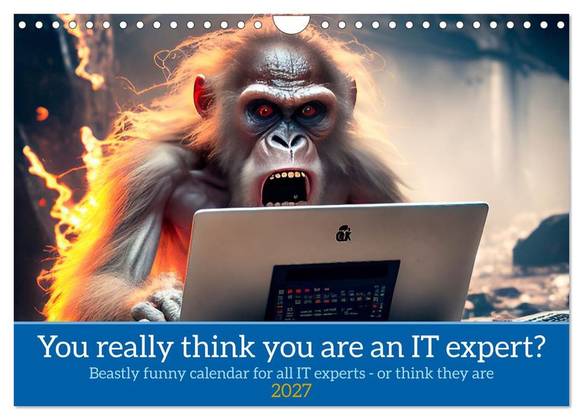 You really think you are an IT expert (Wall Calendar 2027 DIN A4 landscape) CALVENDO 12 Month Wall Calendar