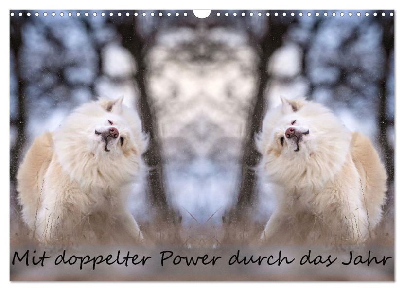 Mit doppelter Power durch das Jahr (Wandkalender 2027 DIN A3 quer) CALVENDO Monatskalender