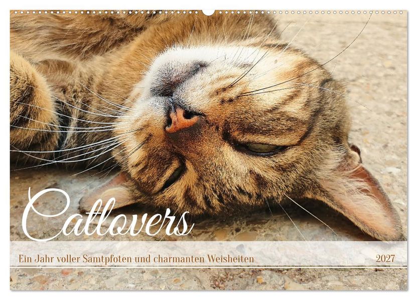 Catlovers - Ein Jahr voller Samtpfoten und charmanten Weisheiten (Wandkalender 2027 DIN A2 quer) CALVENDO Monatskalender