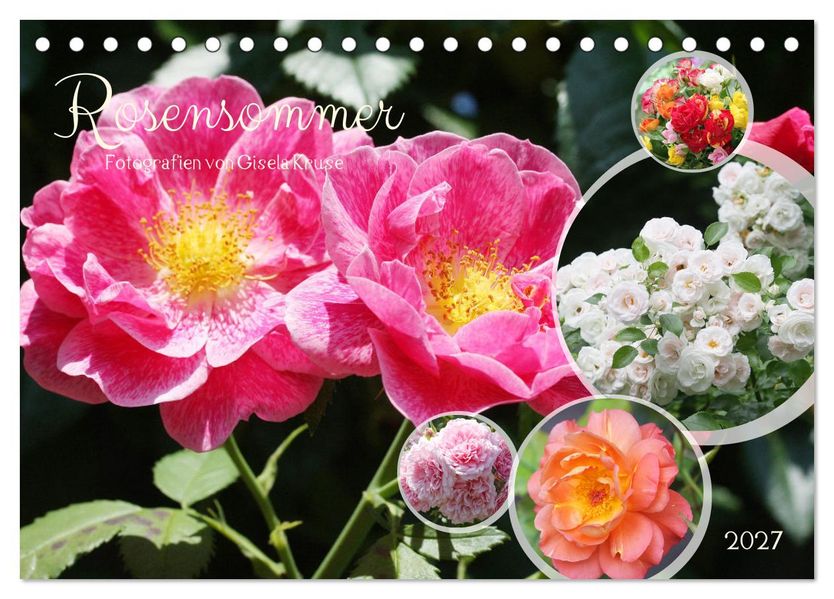 Rosensommer (Tischkalender 2027 DIN A5 quer) CALVENDO Monatskalender