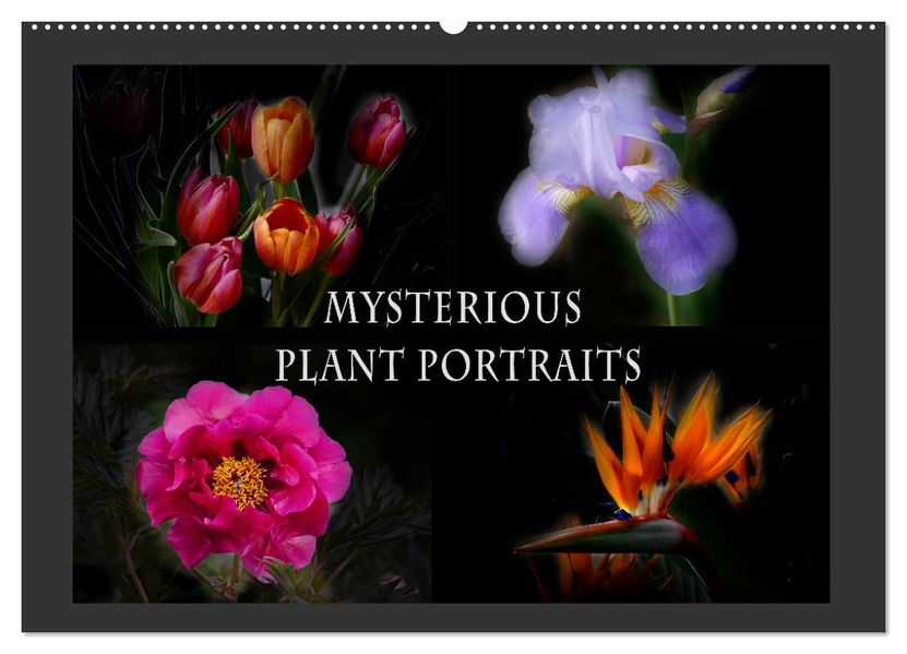 Mysterious plant portraits (Wall Calendar 2027 DIN A2 landscape) CALVENDO 12 Month Wall Calendar