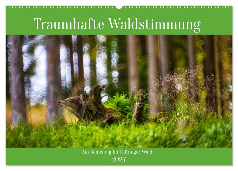 Traumhafte Waldstimmung am Rennsteig im Thüringer Wald (Wandkalender 2027 DIN A2 quer) CALVENDO Monatskalender