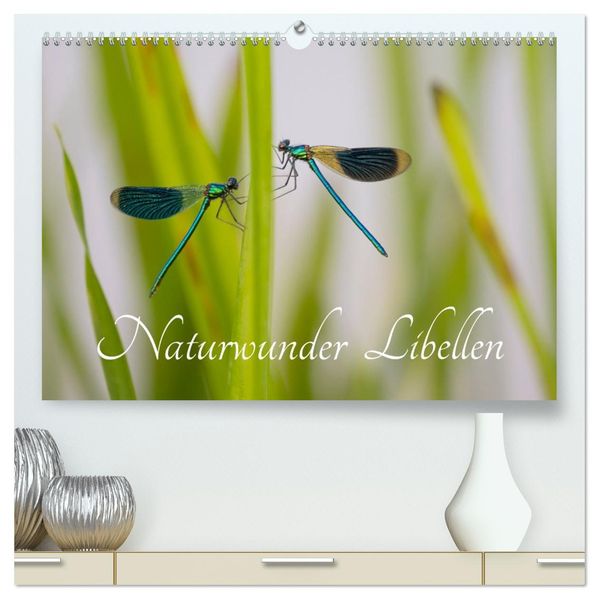 Naturwunder Libellen (hochwertiger Premium Wandkalender 2027 DIN A2 quer) Kunstdruck in Hochglanz