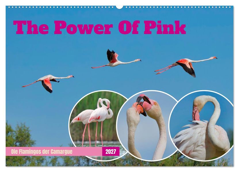 The Power Of Pink (Wandkalender 2027 DIN A2 quer) CALVENDO Monatskalender