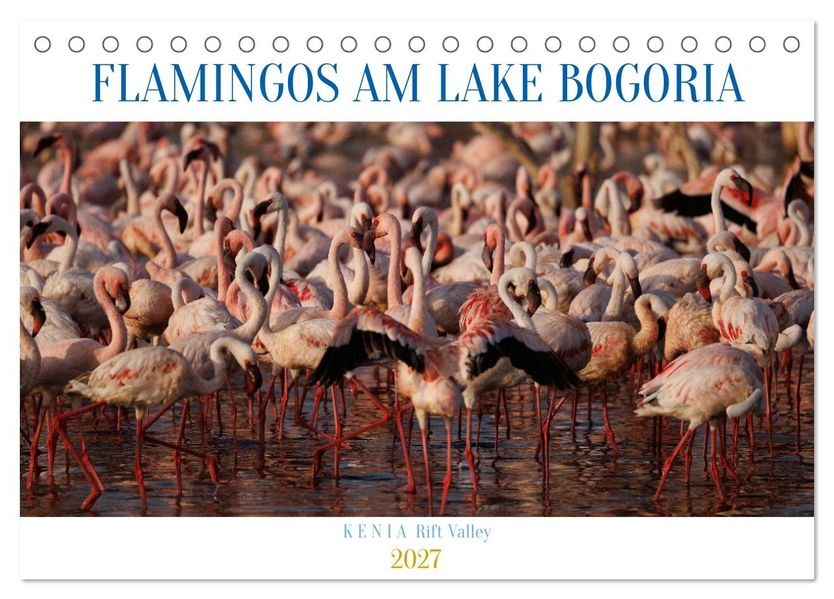 Flamingos am Lake Bogoria - Kenia (Tischkalender 2027 DIN A5 quer) CALVENDO Monatskalender