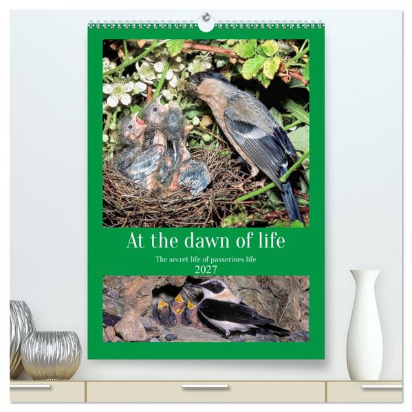 At the dawn of life the secret life of passerines (High Quality Premium Wall Calendar 2027 DIN A2 portrait)CALVENDO 12 Month Wall Calendar