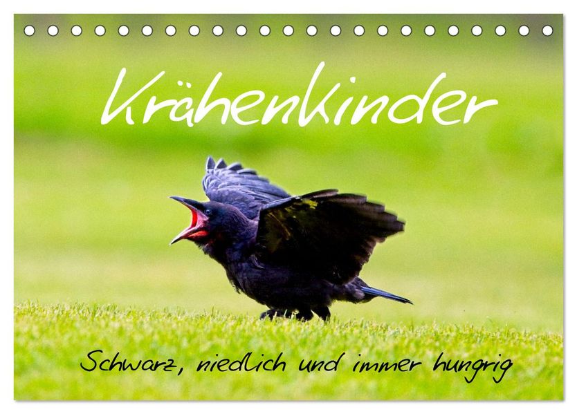 Krähenkinder - Schwarz niedlich und immer hungrig (Tischkalender 2027 DIN A5 quer) CALVENDO Monatskalender