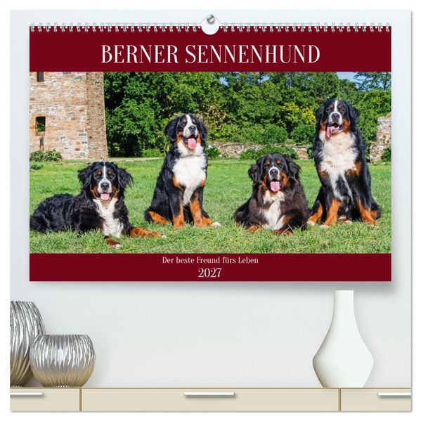 Berner Sennenhund - Der beste Freund fürs Leben (hochwertiger Premium Wandkalender 2027 DIN A2 quer) Kunstdruck in Hochglanz