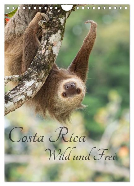 Costa Rica Wild und Frei (Wandkalender 2027 DIN A4 hoch) CALVENDO Monatskalender
