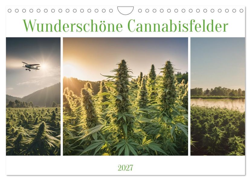 Wunderschöne Cannabisfelder (Wandkalender 2027 DIN A4 quer) CALVENDO Monatskalender