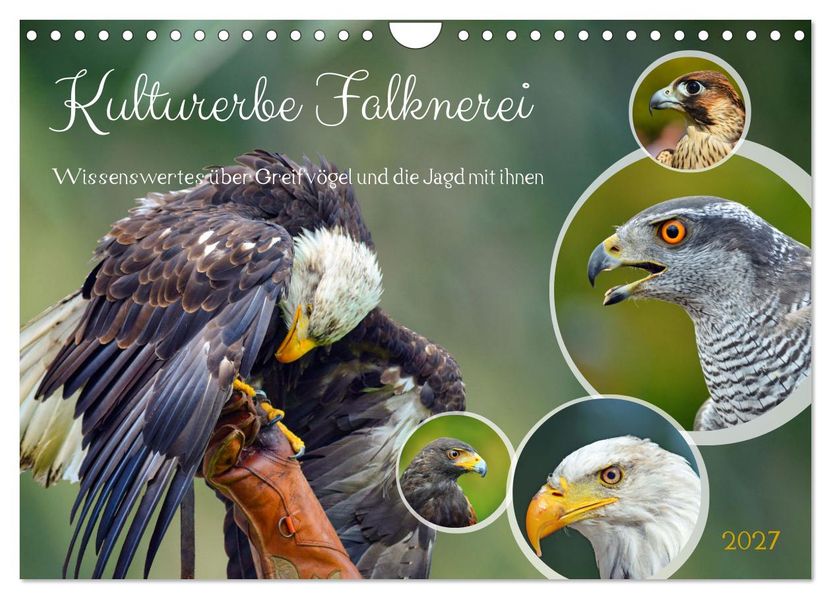 Kulturerbe Falknerei (Wandkalender 2027 DIN A4 quer) CALVENDO Monatskalender