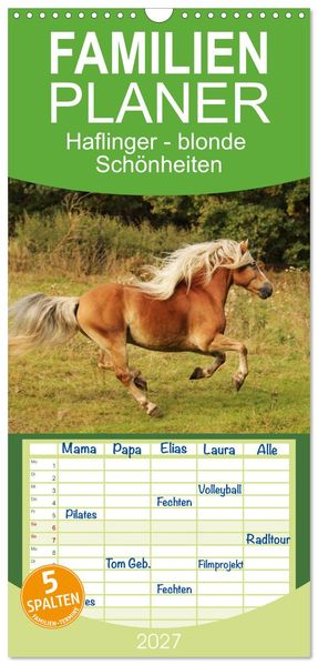 Familienplaner 2027 - Haflinger - blonde Schönheiten mit 5 Spalten (Wandkalender 21 x 45 cm) CALVENDO