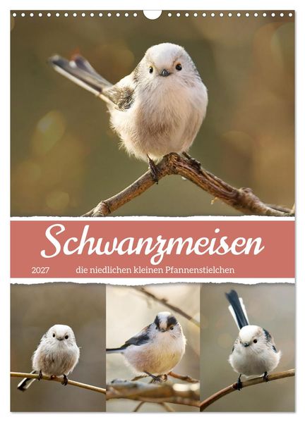 Schwanzmeisen die niedlichen kleinen Pfannenstielchen (Wandkalender 2027 DIN A3 hoch) CALVENDO Monatskalender