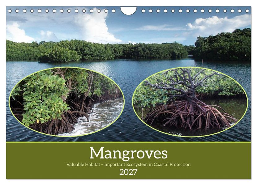 Mangroves - Valuable Habitat (Wall Calendar 2027 DIN A4 landscape) CALVENDO 12 Month Wall Calendar