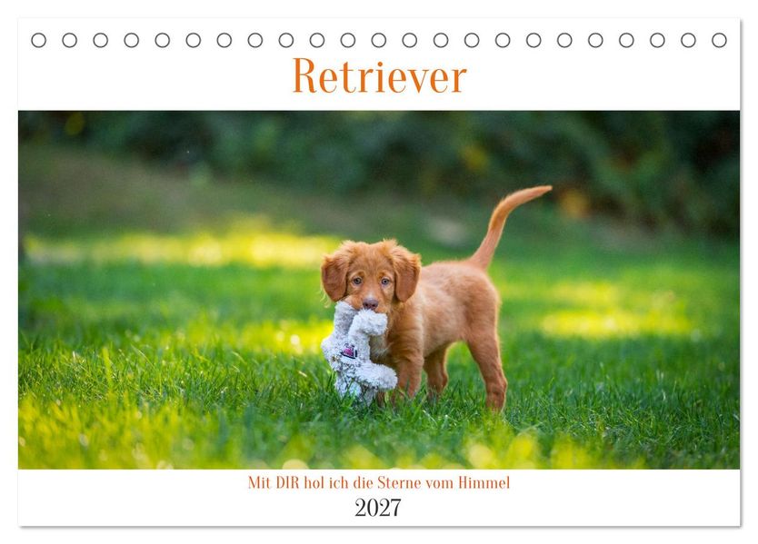 Retriever - Mit DIR hol ich die Sterne vom Himmel (Tischkalender 2027 DIN A5 quer) CALVENDO Monatskalender