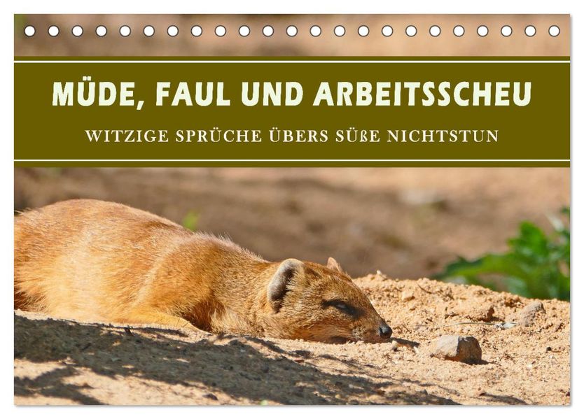 Müde faul und arbeitsscheu (Tischkalender 2027 DIN A5 quer) CALVENDO Monatskalender