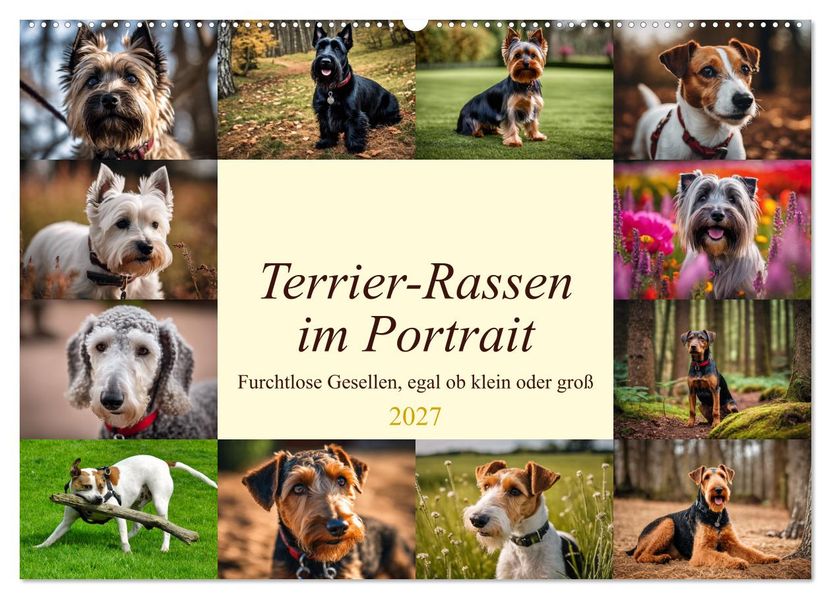 Terrier-Rassen im Portrait (Wandkalender 2027 DIN A2 quer) CALVENDO Monatskalender