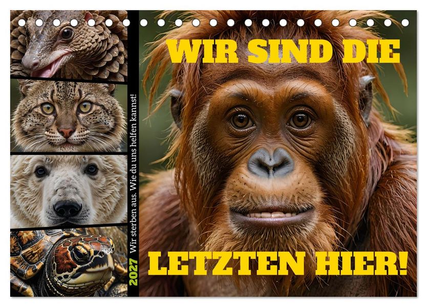 Wir sind die Letzten hier! Wir sterben aus. Wie du uns helfen kannst! (Tischkalender 2027 DIN A5 quer) CALVENDO Monatskalender