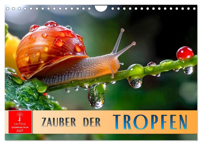 Zauber der Tropfen (Wandkalender 2027 DIN A4 quer) CALVENDO Monatskalender