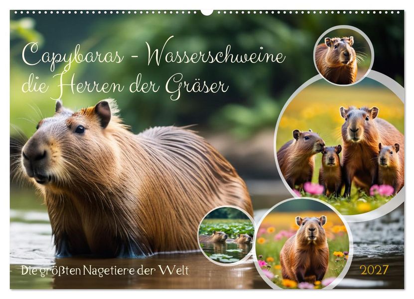 Capybaras - Wasserschweine die Herren der Gräser (Wandkalender 2027 DIN A2 quer) CALVENDO Monatskalender