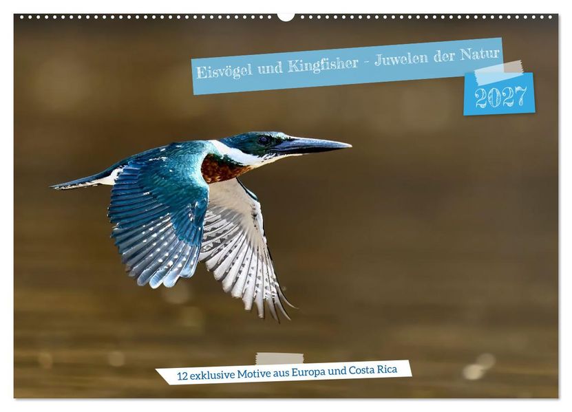 Eisvögel und Kingfisher - Juwelen der Natur (Wandkalender 2027 DIN A2 quer) CALVENDO Monatskalender