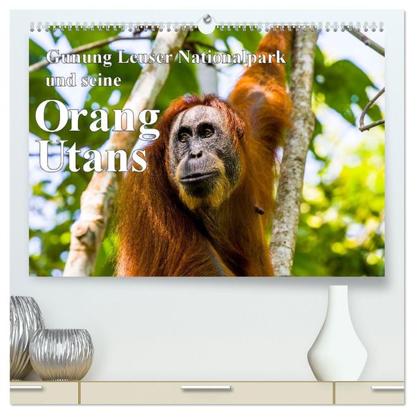 Gunung Leuser Nationalpark und seine Orang Utans (hochwertiger Premium Wandkalender 2027 DIN A2 quer) Kunstdruck in Hochglanz