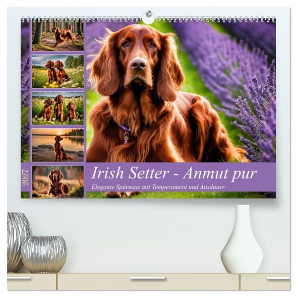 Irish Setter - Anmut pur (hochwertiger Premium Wandkalender 2027 DIN A2 quer) Kunstdruck in Hochglanz