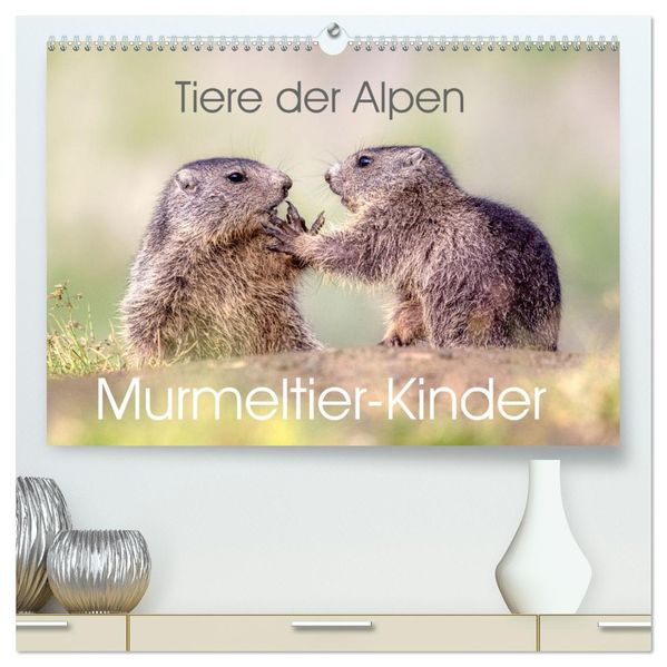 Tiere der Alpen - Murmeltier-Kinder (hochwertiger Premium Wandkalender 2027 DIN A2 quer) Kunstdruck in Hochglanz