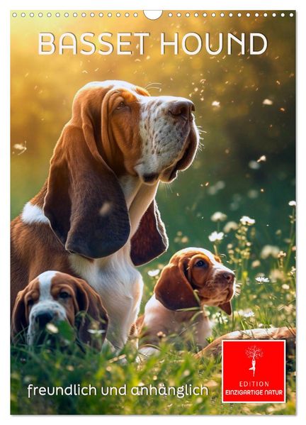 Basset Hound - freundlich und anhänglich (Wandkalender 2027 DIN A3 hoch) CALVENDO Monatskalender