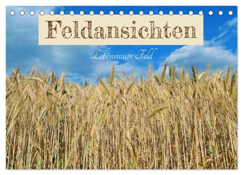 Feldansichten (Tischkalender 2027 DIN A5 quer) CALVENDO Monatskalender