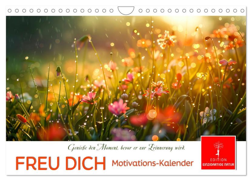 Freu Dich Motivations-Kalender (Wandkalender 2027 DIN A4 quer) CALVENDO Monatskalender