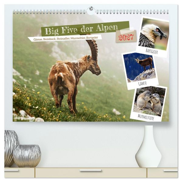 Big Five der Alpen Gämse Steinbock Murmeltier Steinadler Bartgeier (hochwertiger Premium Wandkalender 2027 DIN A2 quer) Kunstdruck in Hochglanz