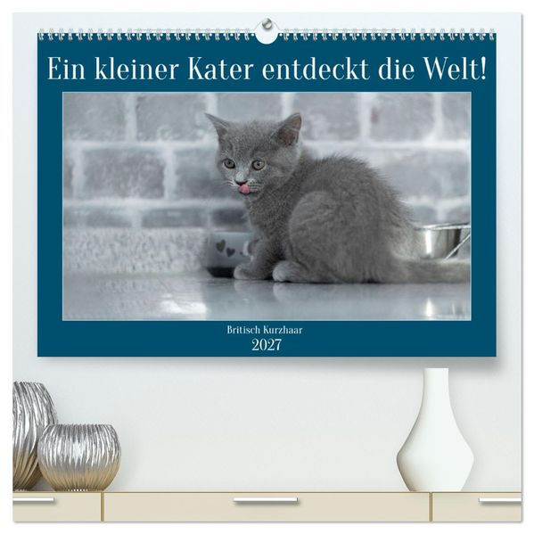 Ein kleiner Kater entdeckt die Welt! (hochwertiger Premium Wandkalender 2027 DIN A2 quer) Kunstdruck in Hochglanz