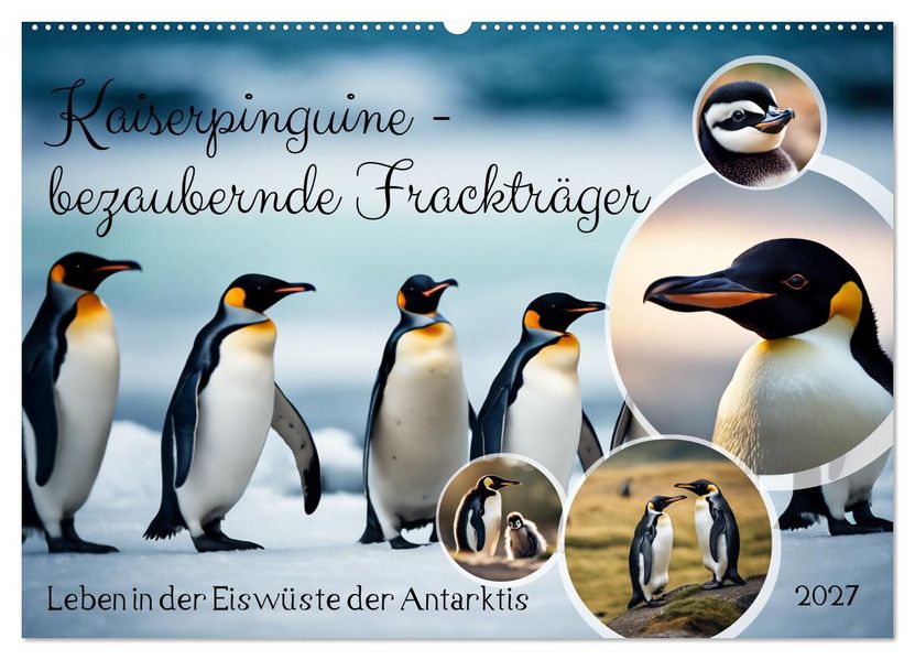 Kaiserpinguine - bezaubernde Frackträger (Wandkalender 2027 DIN A2 quer) CALVENDO Monatskalender