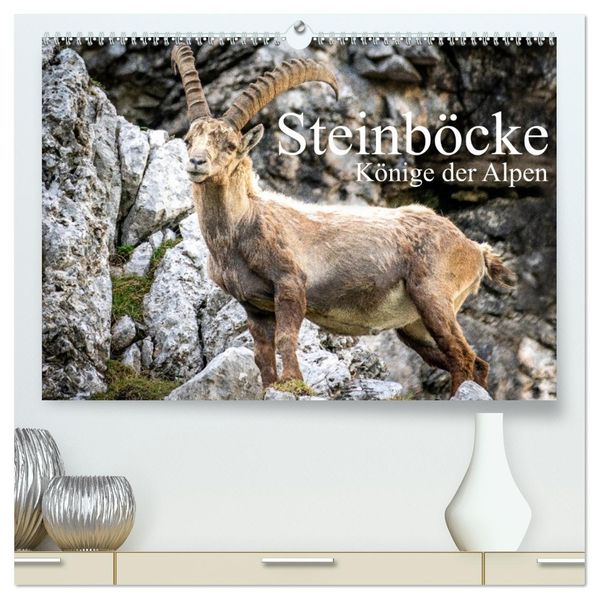 Steinböcke - Majestätische Tiere der Alpen (hochwertiger Premium Wandkalender 2027 DIN A2 quer) Kunstdruck in Hochglanz