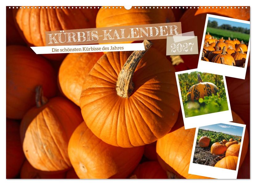 KÜRBIS KALENDER - Die schönsten Kürbisse des Jahres (Wandkalender 2027 DIN A2 quer) CALVENDO Monatskalender