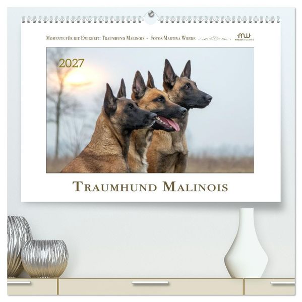Traumhund Malinois (hochwertiger Premium Wandkalender 2027 DIN A2 quer) Kunstdruck in Hochglanz
