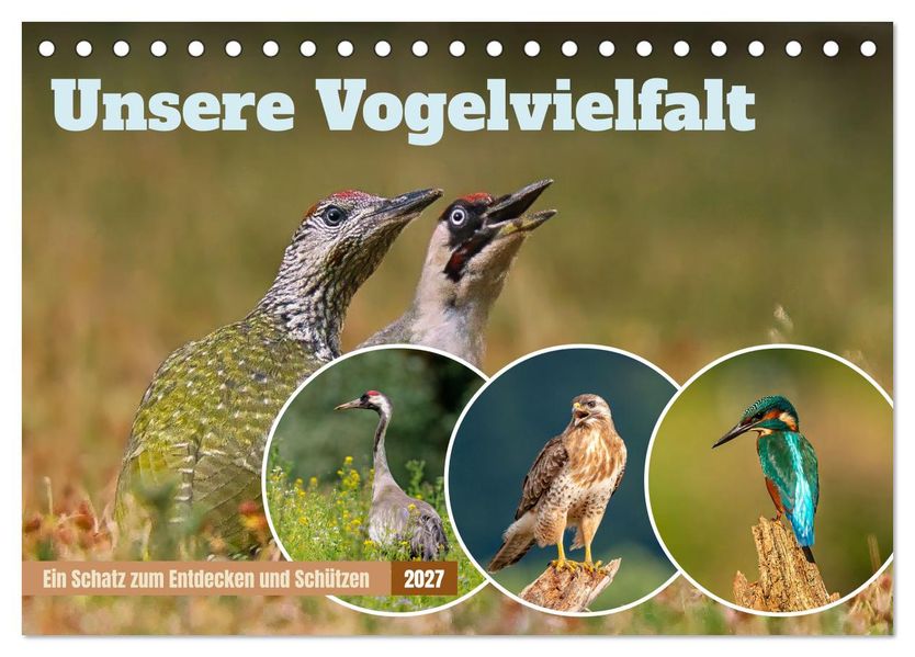 Unsere Vogelvielfalt: Ein Schatz zum Entdecken und Schützen (Tischkalender 2027 DIN A5 quer) CALVENDO Monatskalender