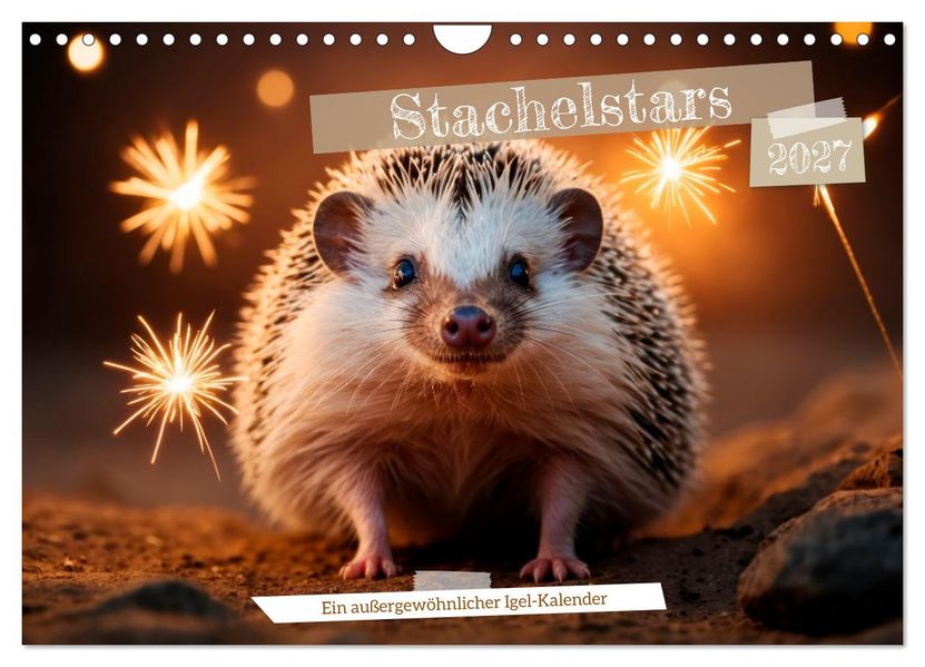 Stachelstars (Wandkalender 2027 DIN A4 quer) CALVENDO Monatskalender