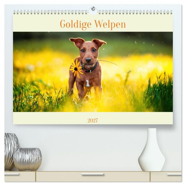 Pfotenblitzers Goldige Welpen (hochwertiger Premium Wandkalender 2027 DIN A2 quer) Kunstdruck in Hochglanz