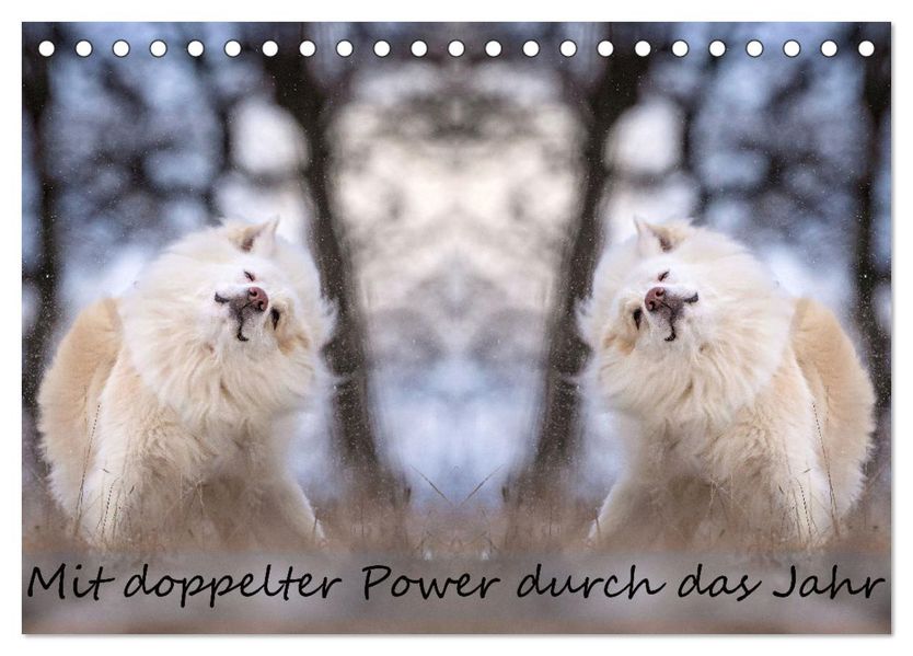 Mit doppelter Power durch das Jahr (Tischkalender 2027 DIN A5 quer) CALVENDO Monatskalender
